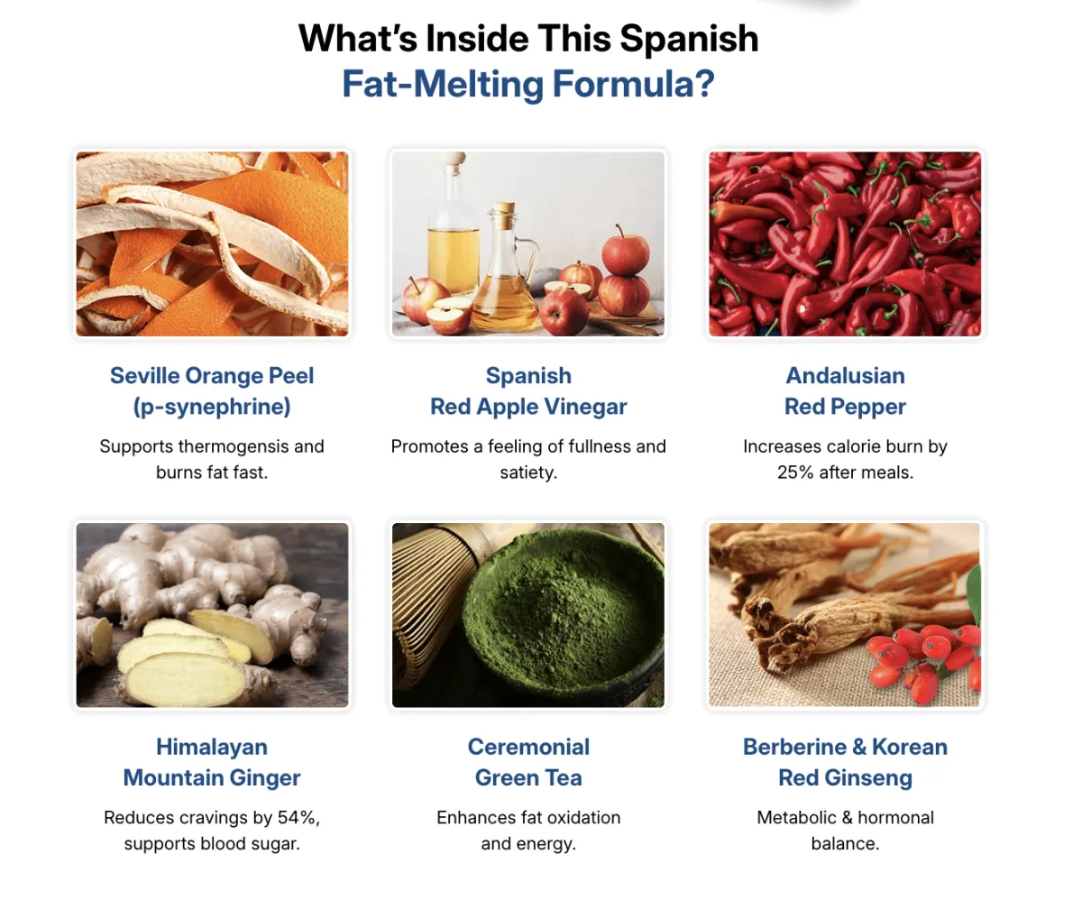 Biodentex ingredients